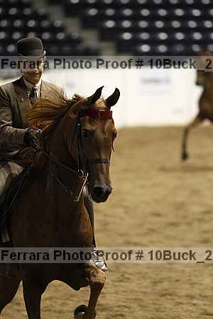 Proof 10buck_2315
