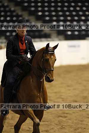 Proof 10buck_2318