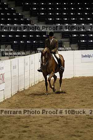 Proof 10buck_2319