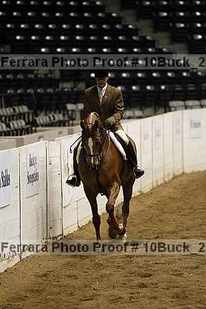 Proof 10buck_2321