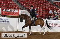 10buck_2324 proof