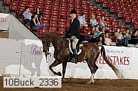10buck_2336 proof