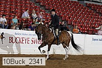 10buck_2341 proof