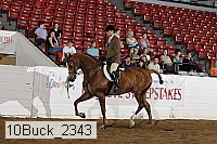 10buck_2343 proof