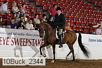 10buck_2344 proof