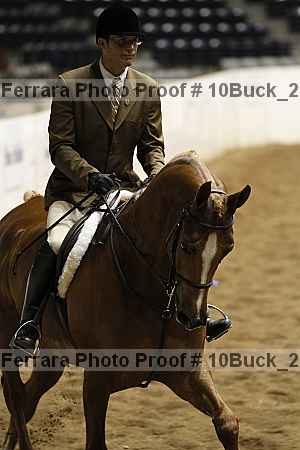 Proof 10buck_2349