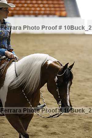 Proof 10buck_2363