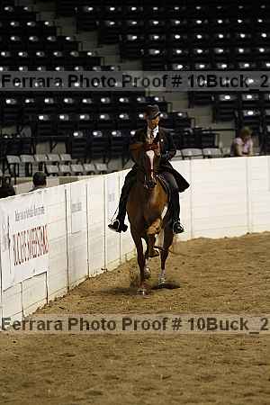 Proof 10buck_2365