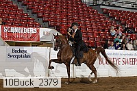 10buck_2379 proof
