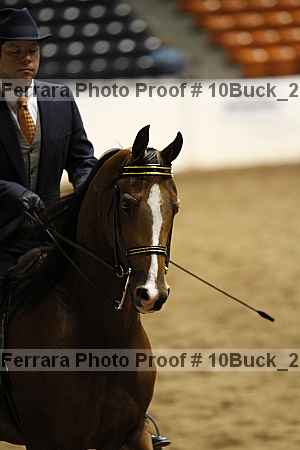 Proof 10buck_2383