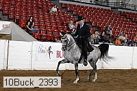 10buck_2393 proof