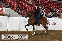 10buck_2395 proof