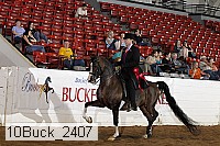 10buck_2407 proof
