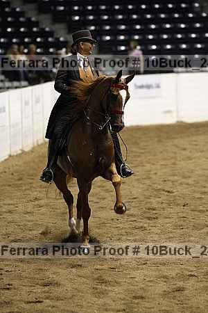 Proof 10buck_2409