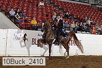 10buck_2410 proof