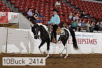 10buck_2414 proof