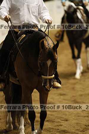 Proof 10buck_2415