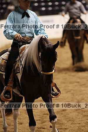 Proof 10buck_2417