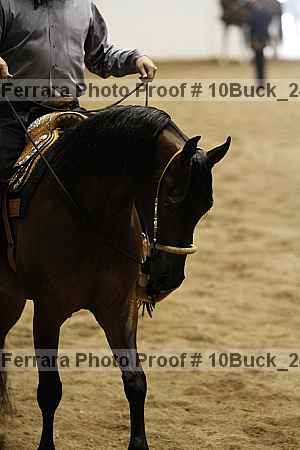 Proof 10buck_2421