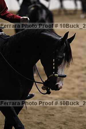 Proof 10buck_2438