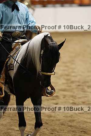 Proof 10buck_2439
