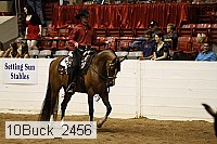 10buck_2456 proof