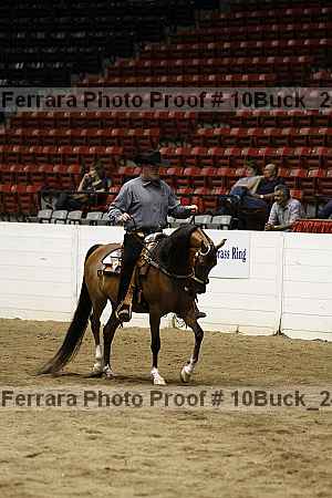Proof 10buck_2458