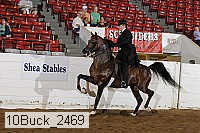 10buck_2469 proof