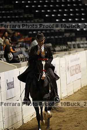 Proof 10buck_2470