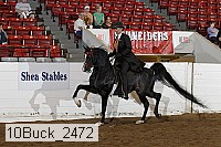 10buck_2472 proof