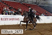 10buck_2473 proof