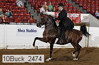 10buck_2474 proof