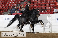 10buck_2479 proof