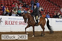 10buck_2493 proof