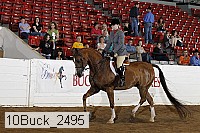 10buck_2495 proof