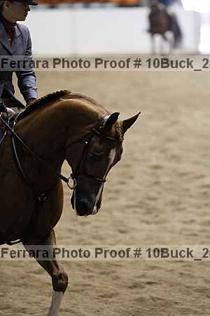 Proof 10buck_2496
