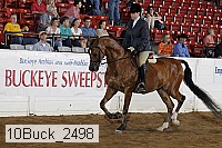 10buck_2498 proof
