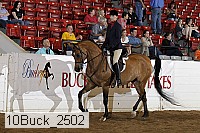 10buck_2502 proof