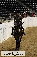 10buck_2508 proof