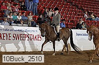 10buck_2510 proof