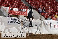 10buck_2513 proof