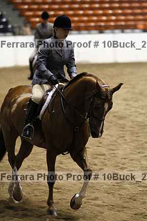 Proof 10buck_2517