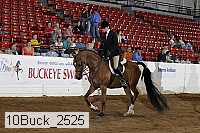 10buck_2525 proof