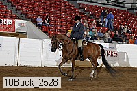 10buck_2528 proof