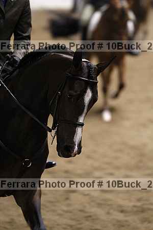 Proof 10buck_2530
