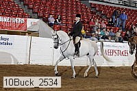 10buck_2534 proof