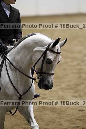 Proof 10buck_2535