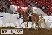 10buck_2537 proof