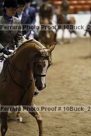 Proof 10buck_2539