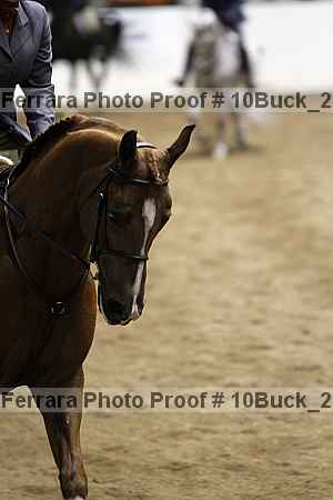 Proof 10buck_2543